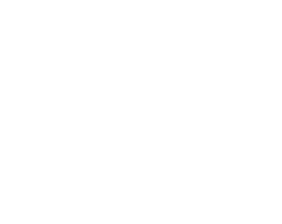 CruiseS